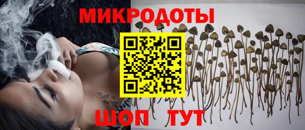 Можайск  купить наркоту  Галлюциногенные грибы ЛСД  Вход с VPN  Псилоцибиновые грибы Psilocybine cubensis 